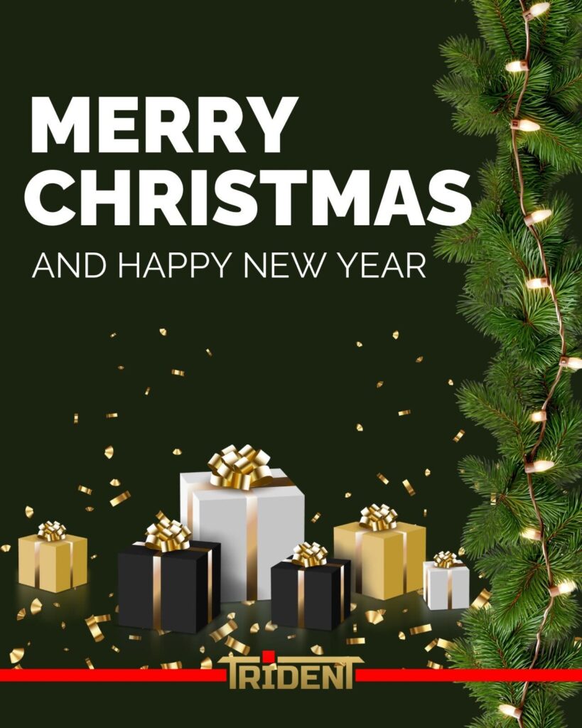 Merry Christmas and Happy New Year
